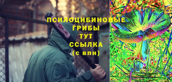 мет Алексин