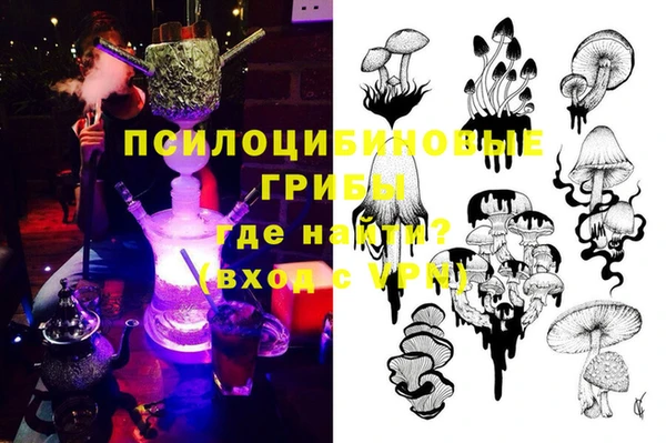 мет Алексин