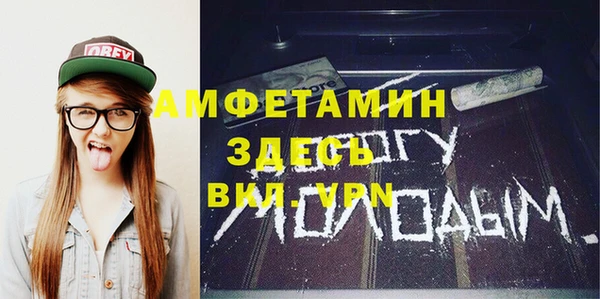 мет Алексин